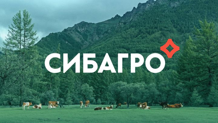 https://facebook.com/1510154369178150