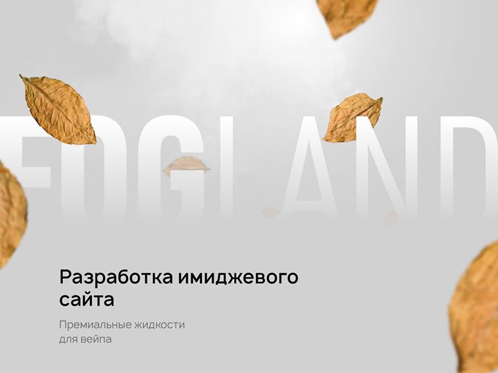 https://facebook.com/1106313646228893