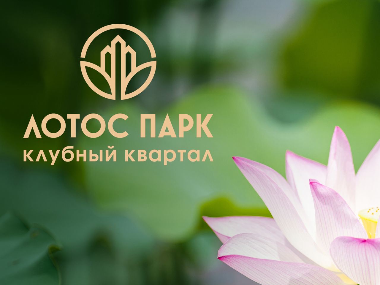 https://t.me/brandinginrussia/684